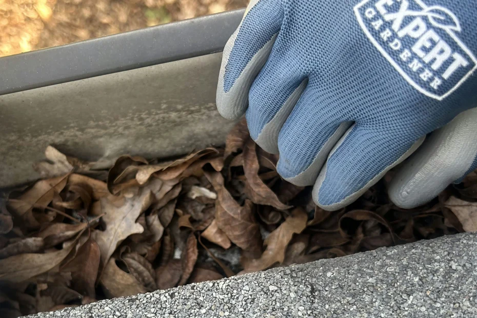 Gutter Cleaning North Fort Myers