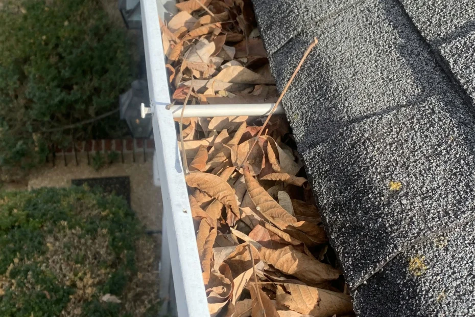 Gutter Cleaning North Fort Myers