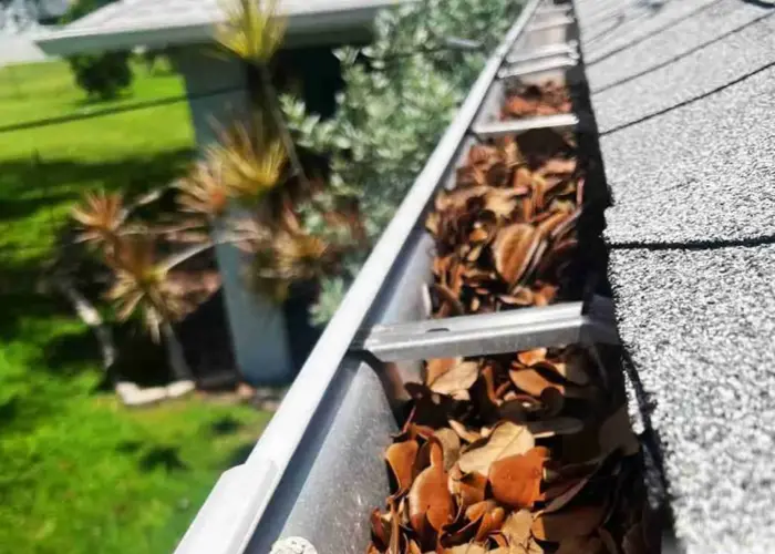 Gutter Cleaning North Fort Myers home page